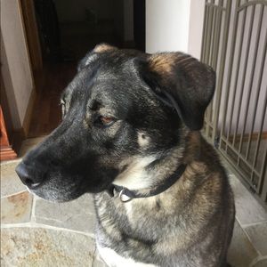 Meet your Posher, Valerie